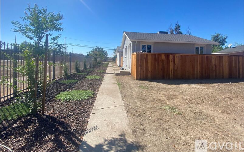A backyard with a fence, a tree, and a house.