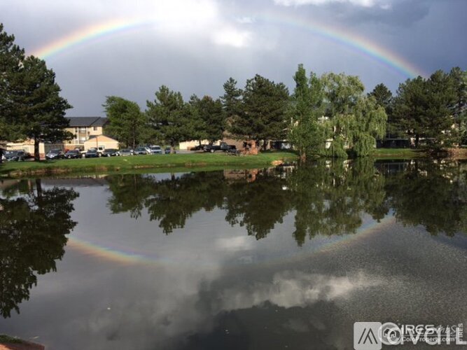 A rainbow appears over a lake with trees and buildings in the background.