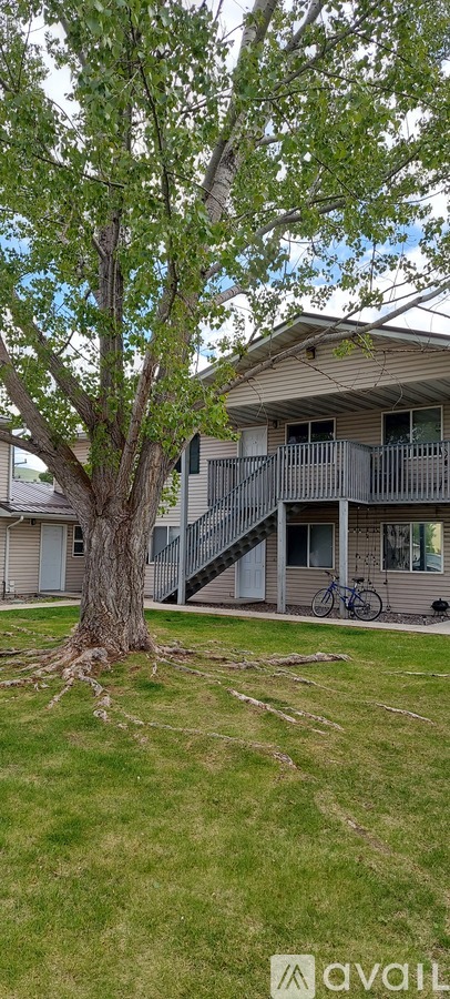 A tree with green leaves stands in front of a house with a bicycle leaning against it.