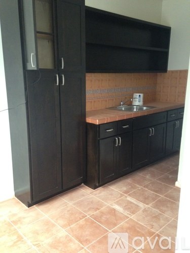 A kitchen with black cabinets and a tiled backsplash.