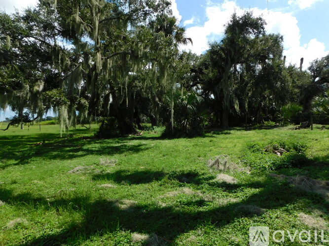 A grassy field with trees and hanging moss.