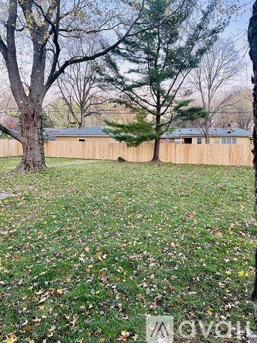 A backyard with a fence and trees.