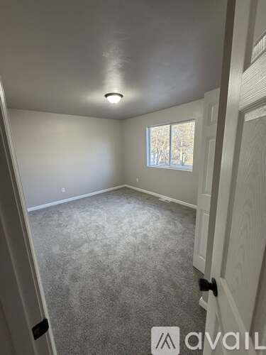 A room with a carpeted floor and a window with a view of trees outside.