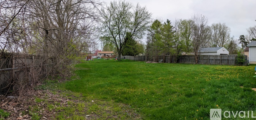 A grassy field with trees and a fence in the background.