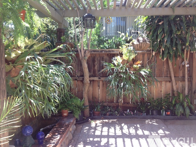 A patio with a wooden fence and a bench.