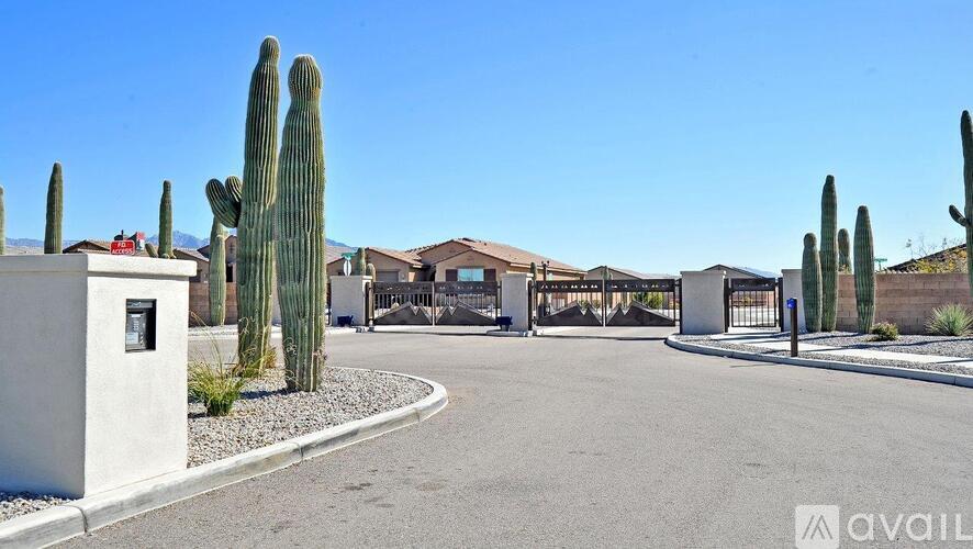 A cactus is in front of a building.
