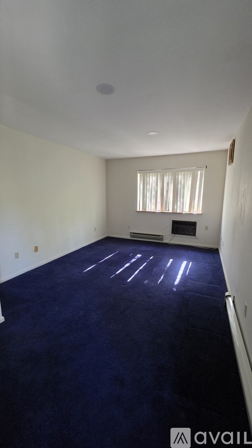 A room with a blue carpet and a window with blinds.