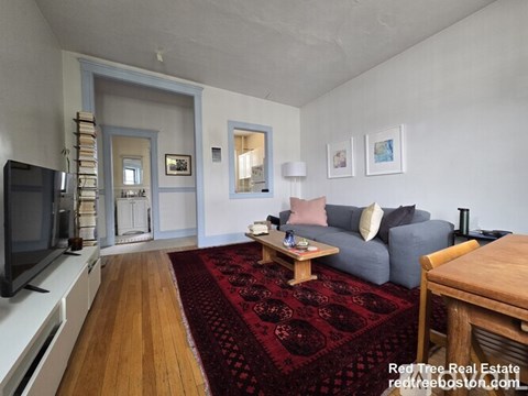 A living room with a grey couch and a red rug.