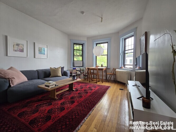 A living room with a grey couch, a red rug, and a fireplace.
