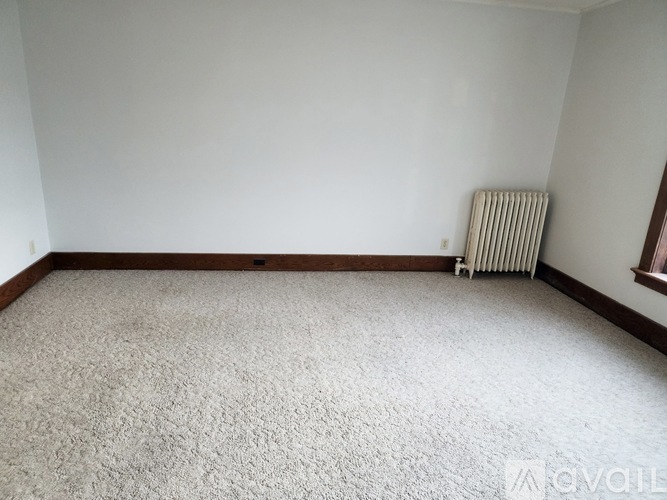 A room with a carpet, a radiator, and a window.