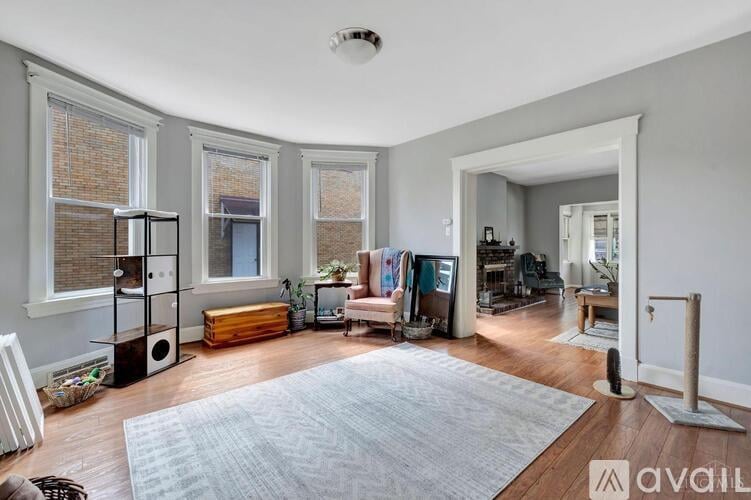 A living room with a grey rug and a grey sofa.