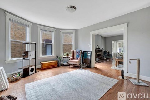 A living room with a grey rug and a grey sofa.