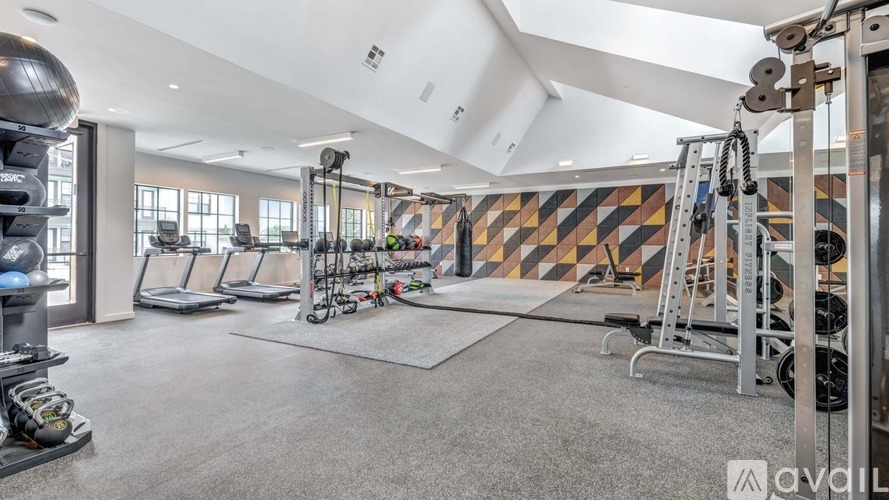 A gym with a variety of equipment including treadmills, weights, and a bench press.