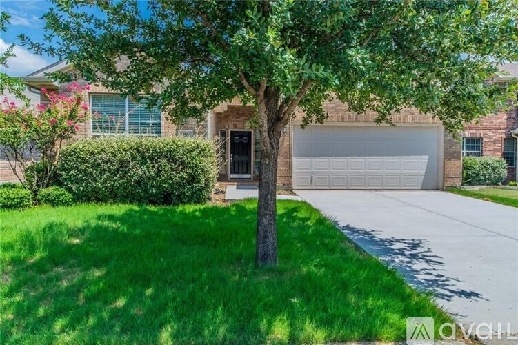 A tree stands in the front yard of a house with a garage door.