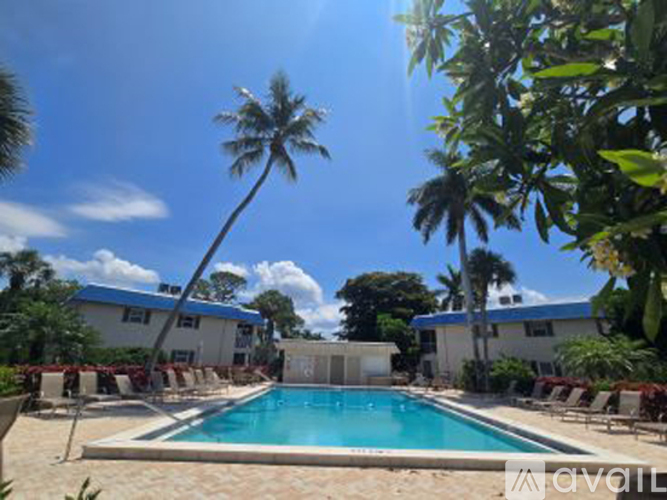 A pool surrounded by palm trees and chairs.