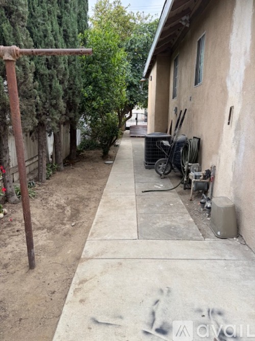 A dirty alley with a building on the right and a tree on the left.
