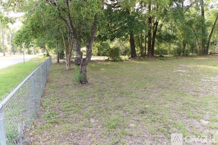 A small tree in a grassy area with a fence.