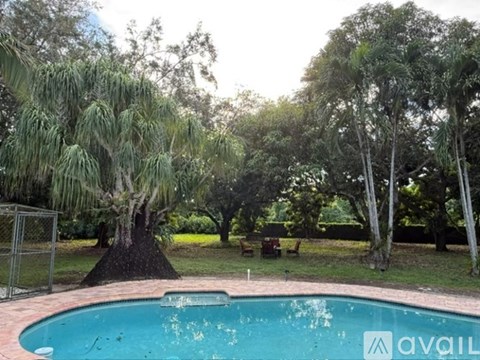 A pool surrounded by trees and a fence.