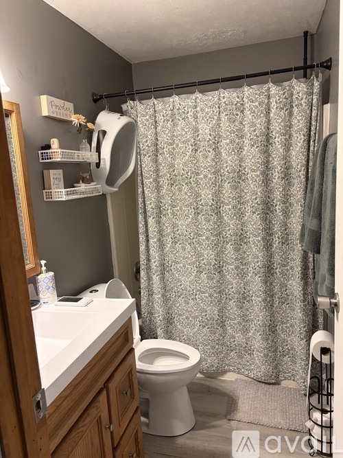 A bathroom with a toilet, sink, and shower curtain.