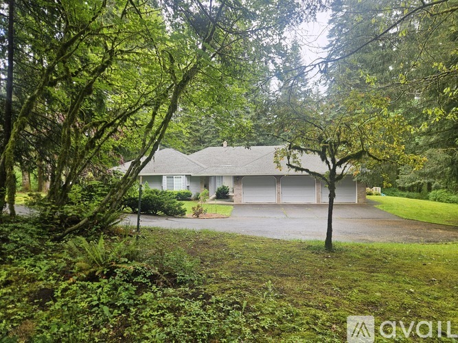 A house is surrounded by greenery and trees.