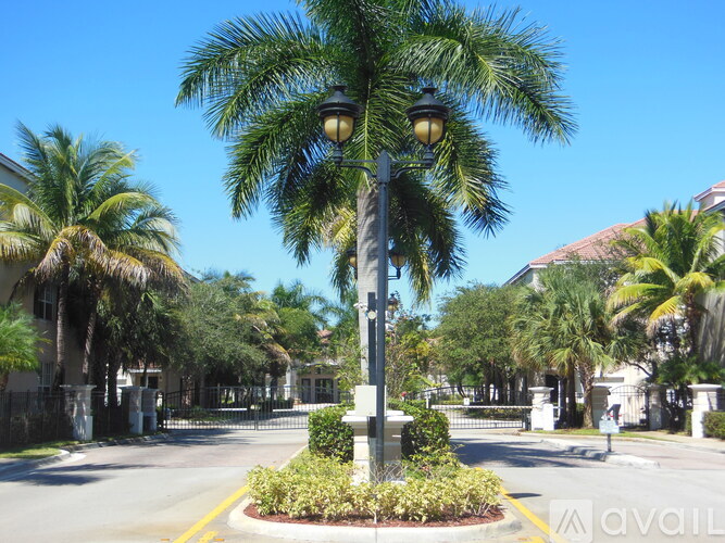A street view with palm trees and a lamp post.
