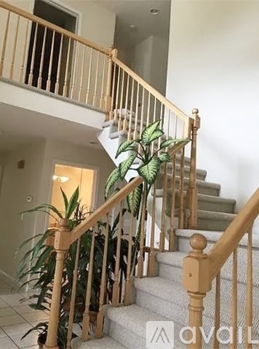 A staircase with a wooden banister and a green plant on the side.