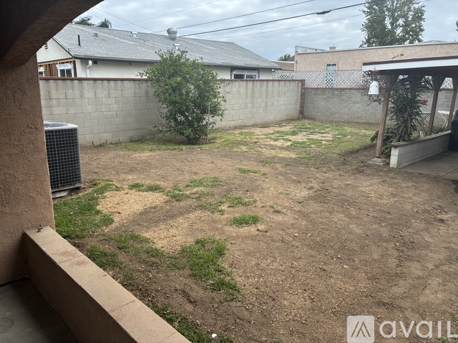 A backyard with a dirt area and a tree.