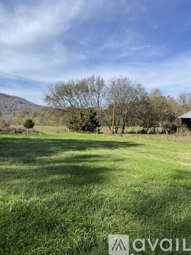 A grassy field with trees and a mountain in the distance.