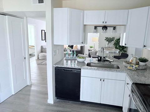 A kitchen with white cabinets and a black dishwasher.