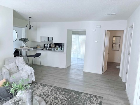 A living room with a grey couch and a grey rug.