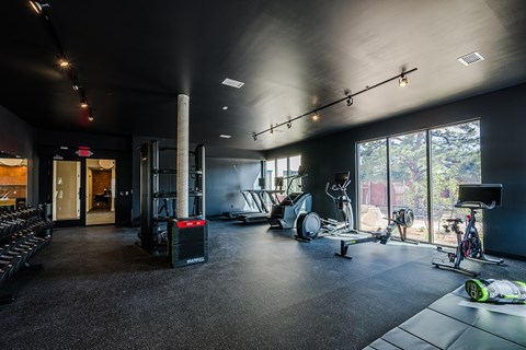 Gym room with Peloton equipment and weight training equipment