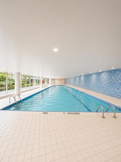 A large indoor swimming pool with a blue tiled wall and white tiled floor.