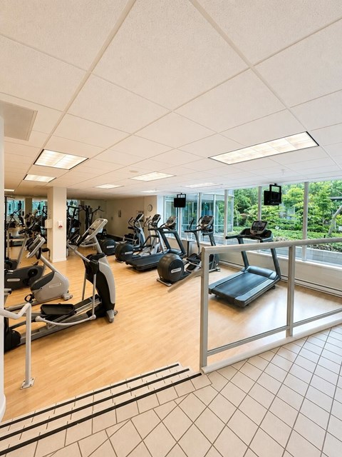 A gym with treadmills, exercise bikes and other equipment.
