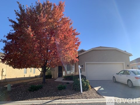 A tree with red leaves is in front of a house.