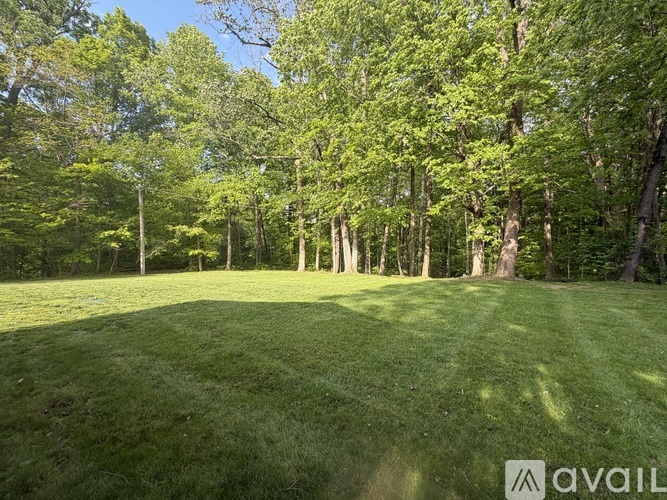 A grassy field with trees in the background.