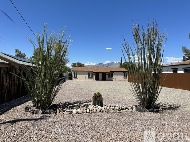 3413 E Camden St 1 Apartment for Rent - Photo gallery 1