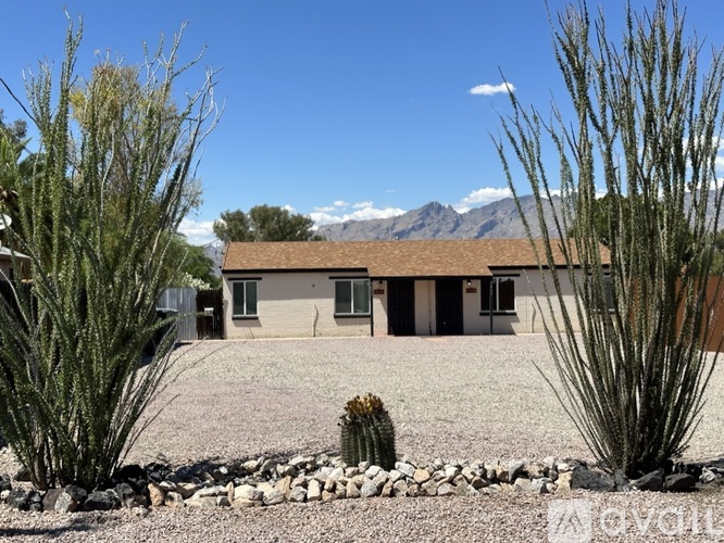 3413 E Camden St 1 Apartment for Rent - Photo gallery 2