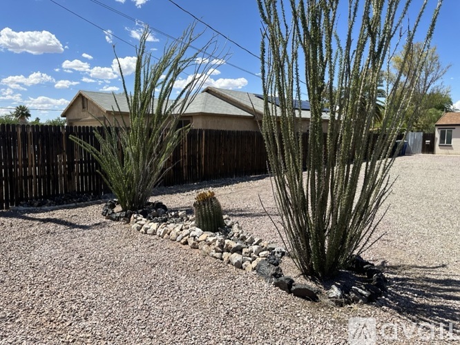 3413 E Camden St 1 Apartment for Rent - Photo gallery 5