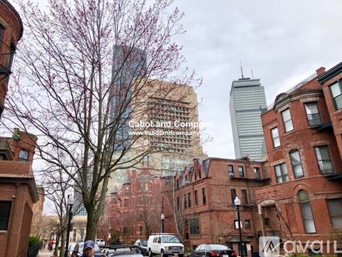 A street view with a tall building in the background and a tree with pink flowers in the foreground.