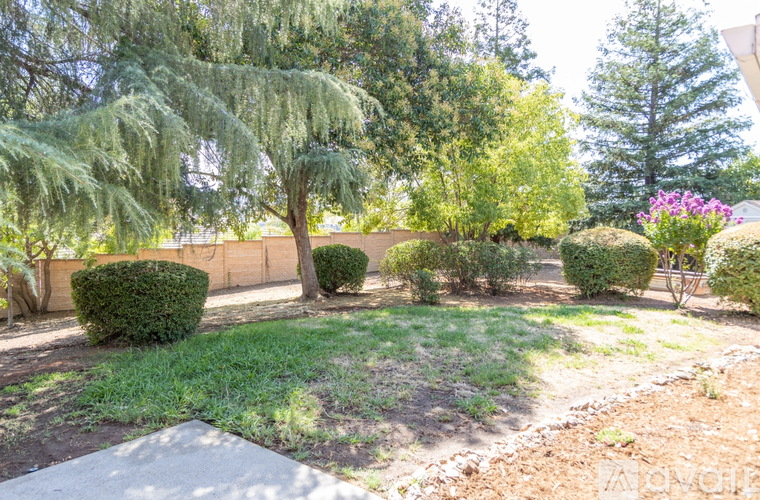 A garden with a variety of plants and trees.