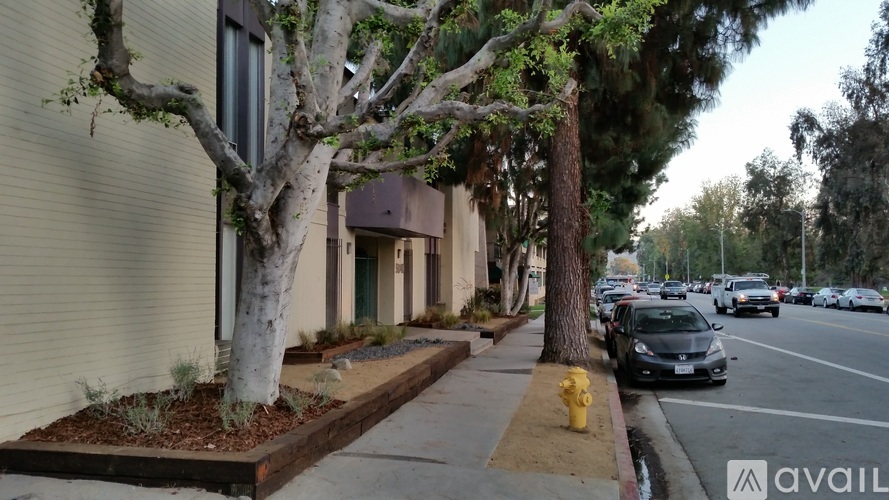 A tree in front of a building with a car parked on the street.