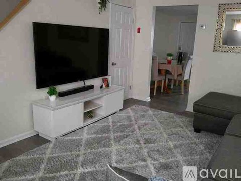 A living room with a television and a grey rug.