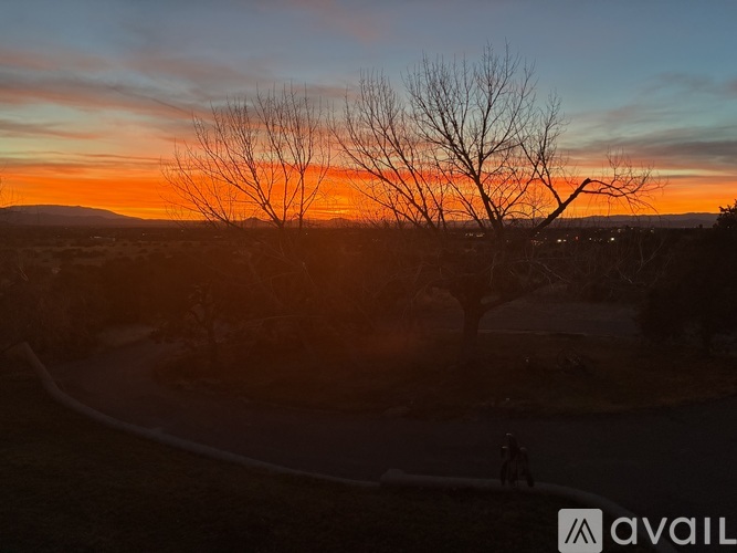 A tree silhouette stands against a sunset sky.