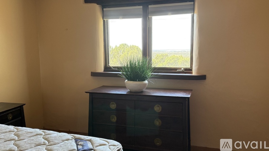 A bedroom with a bed, a dresser with a plant on top, and a window showing greenery outside.