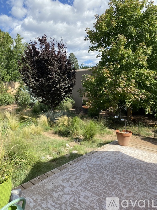 969 Camino De Chelly 2 Beds Single Family Home for Rent - Photo gallery 3