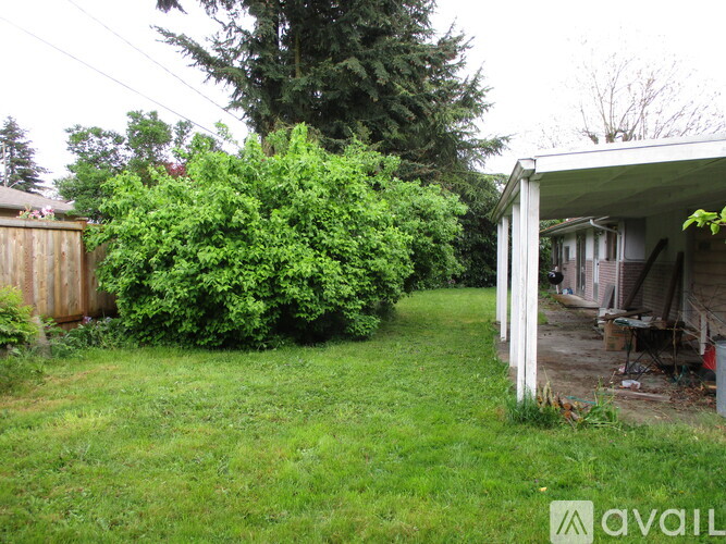 A backyard with a shed and a tree.