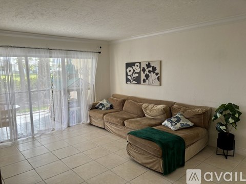 A living room with a couch and a plant.