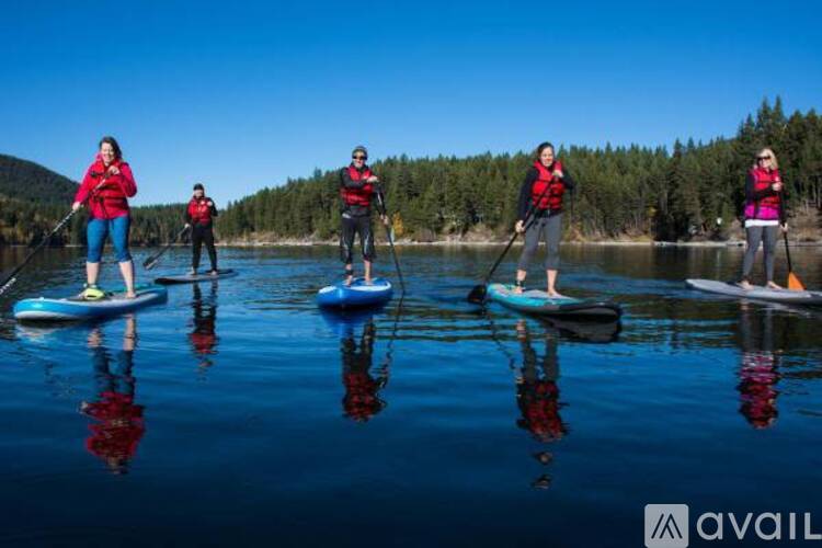 Four people stand on blue paddleboards on a body of water.