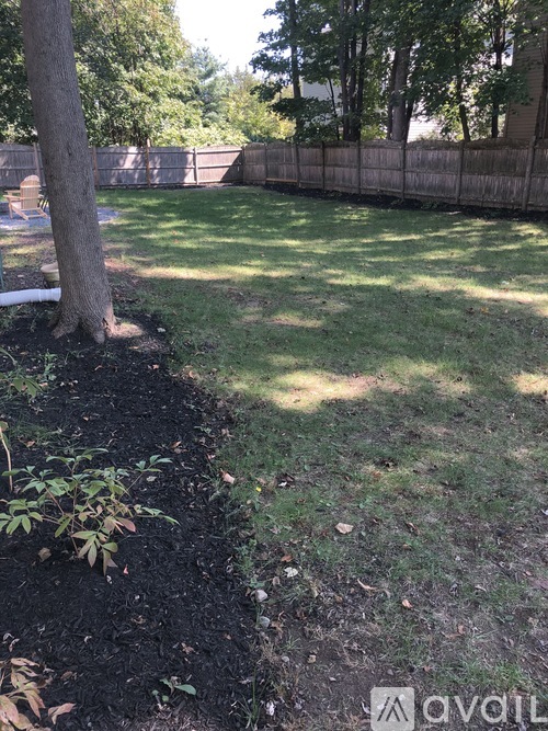 A backyard with a tree and a mulched area.