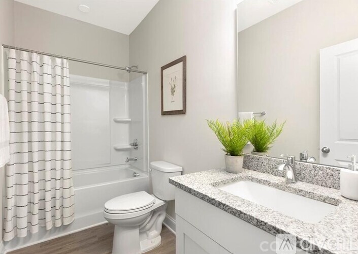 208 Graham St 3 Beds Single Family Home for Rent - Photo gallery 5